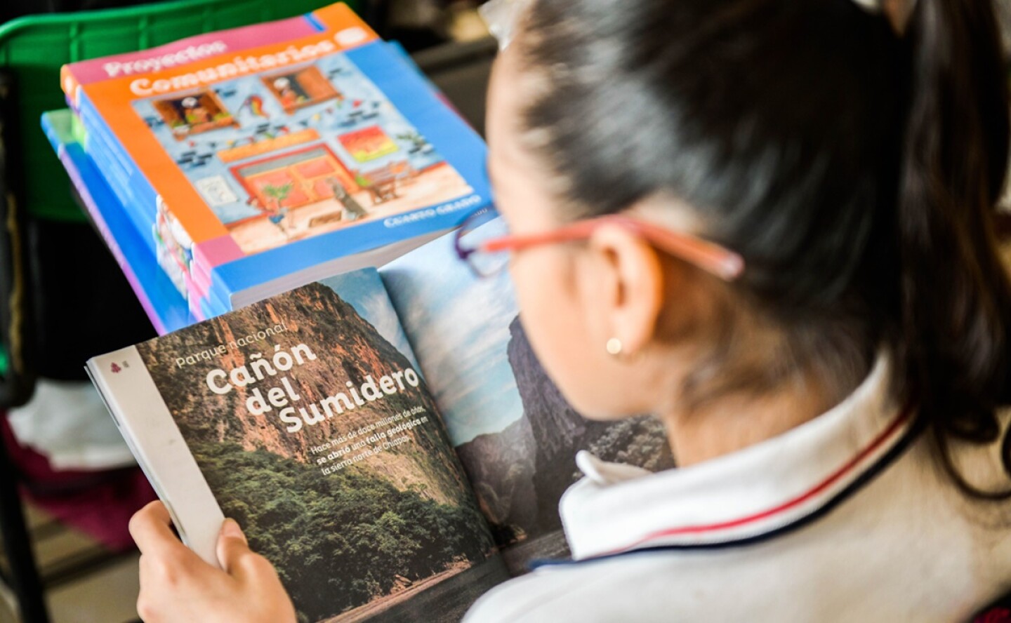 Libros de Texto Gratuitos de la SEP