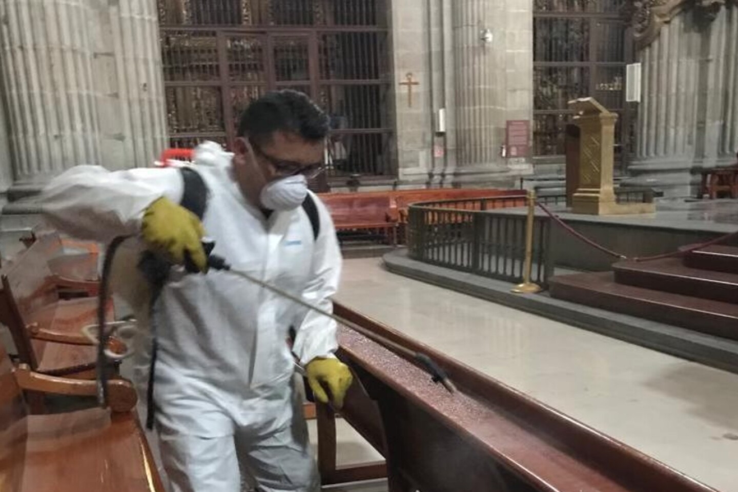 chinches Catedral
