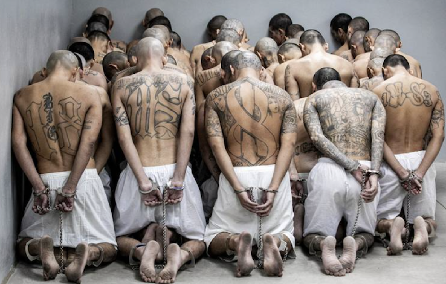 Captura de Pantalla 2023-07-27 a la(s) 9.14.55