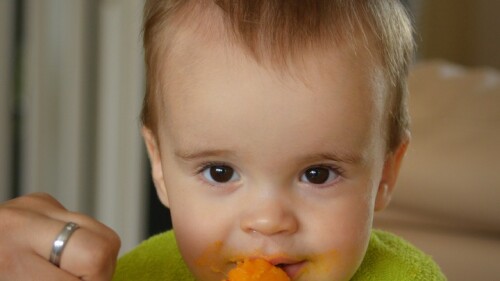 person-people-play-boy-food-child-714973-pxhere.com