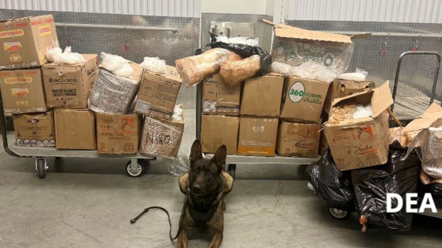 DEA metanfetaminas california estados unidos