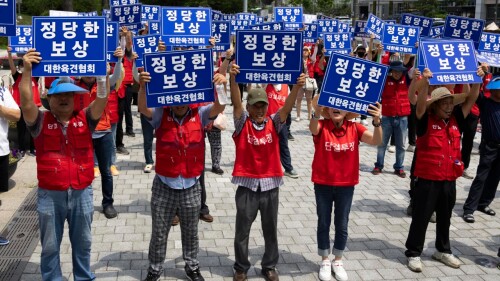 carne de perro corea