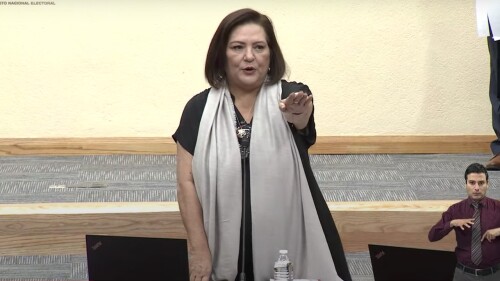 guadalupe-taddei-ine