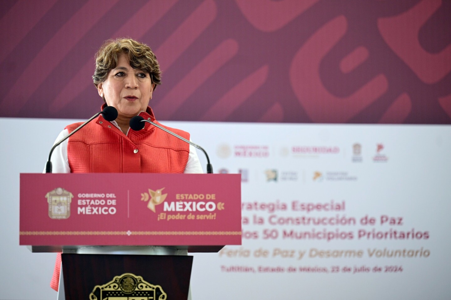 Delfina Gómez desarme.jpg