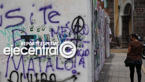 Promo_422_lerta Chihuahua