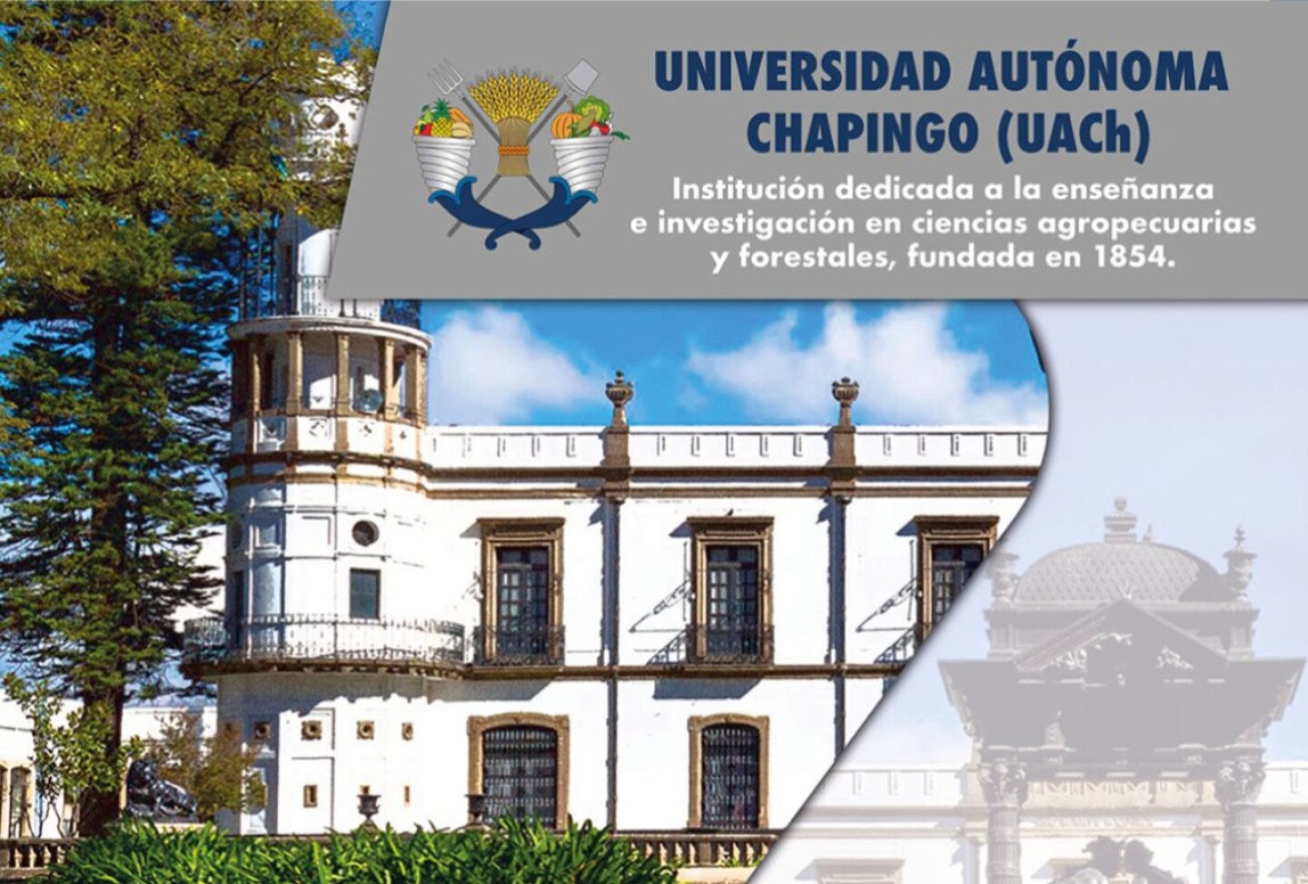universidad-de-chapingo-resultados