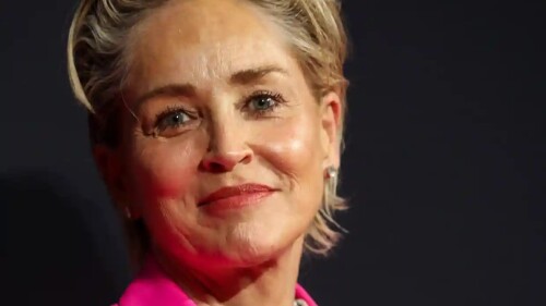 sharon_stone_dice_que_perdió_la_custodia_de_su_hijo_debido_a_una_escena_de_bajos_instintos