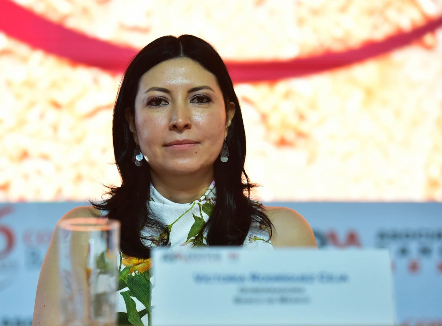 Victoria Rodríguez Ceja 86 Convención Bancaria-9