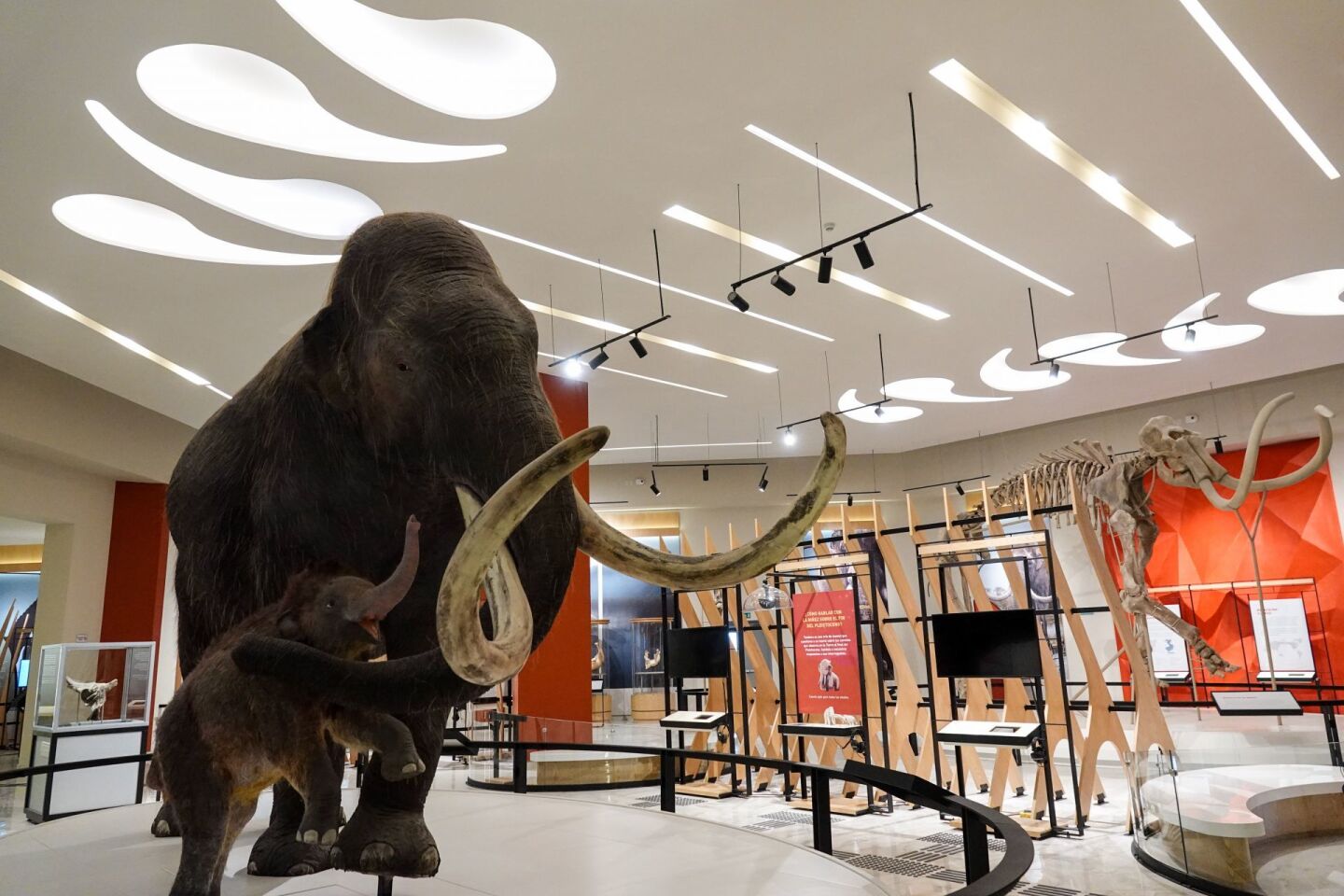 Inauguración del Museo Paleontológico de Santa Lucía “Quinametzin” por parte del presidente Andrés Manuel López Obrador durante la celebración del Día de la Fuerza Aérea Mexicana.