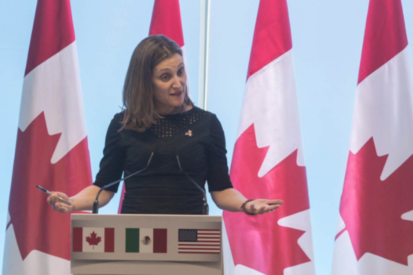 Freeland_TERCERO DIAZ CUARTOSCURO