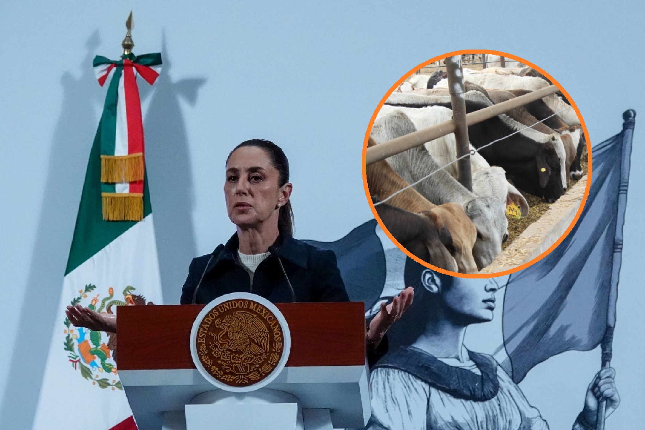 Sheinbaum gusano barrenador ganado