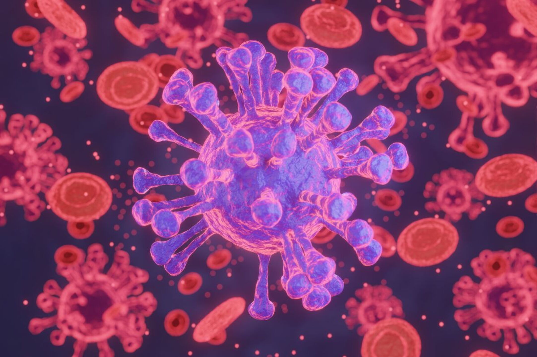 Variante Andes de Hantavirus: suman 13 muertos y 39 contagios en Chile; preocupa alta letalidad