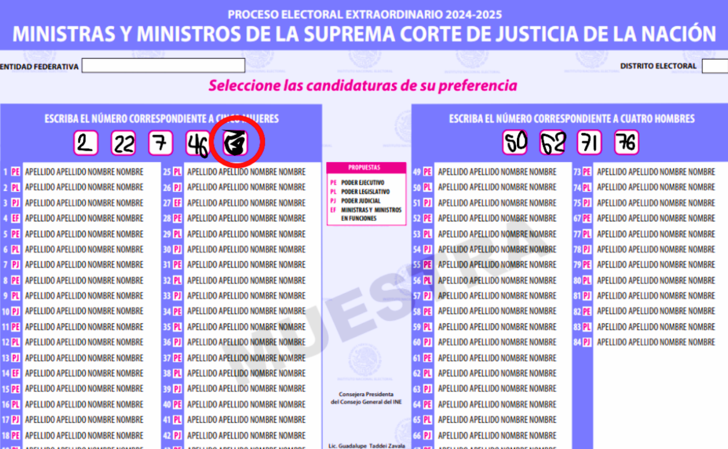 en-la-eleccion-judicial-los-numeros-ilegibles-o-con-tachaduras-no-seran-validos.png