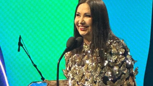 ana-gabriel-precio-boletos-slp-2024-por-boletito