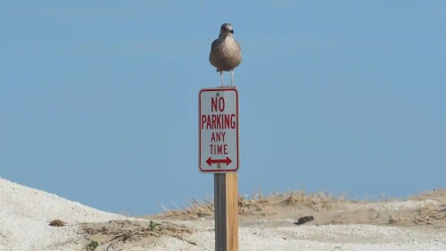 las_coincidencias_son_reales