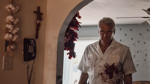 Crítica de Wanted Man