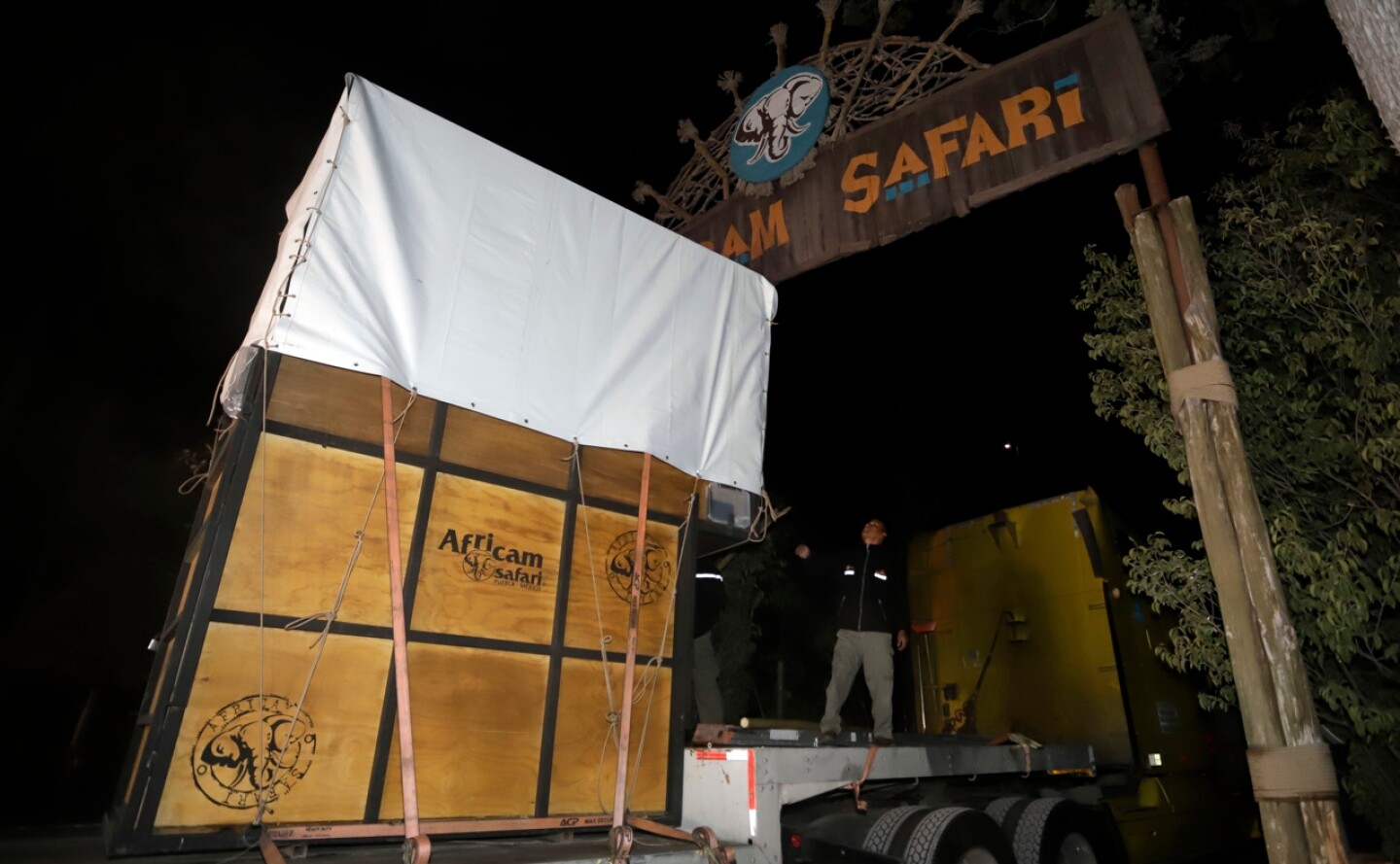 africam-safari-jirafa-benito