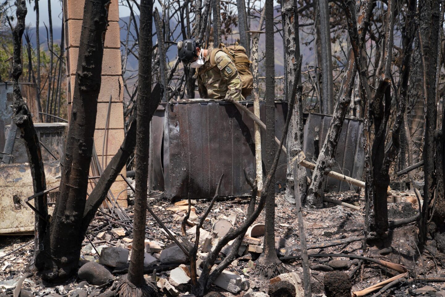 incendios-forestales-hawauu