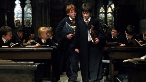 "Harry Potter" cumple 20 años con más magia que nunca
