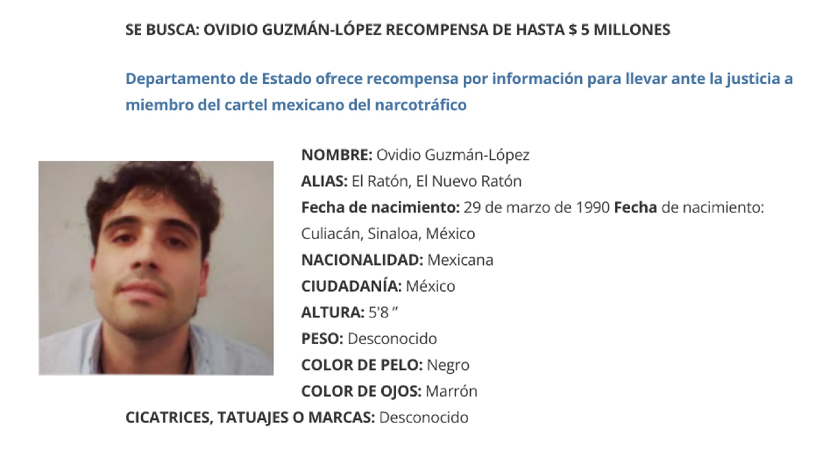 ovidio-guzman