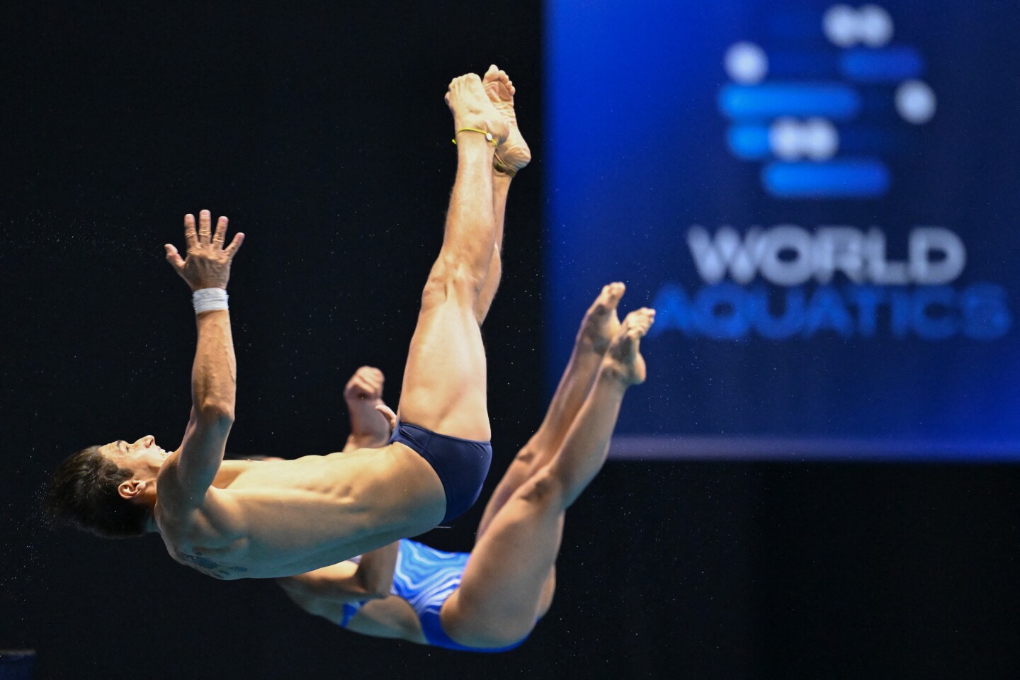 DIVING-WORLD-2023