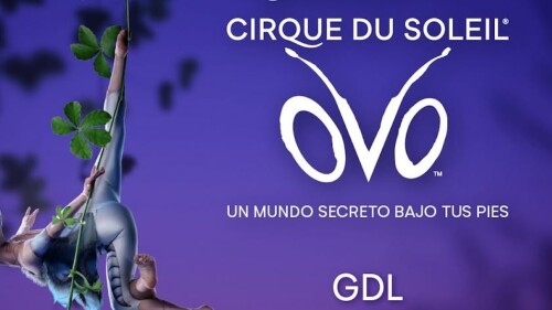 cirque du soleil guadalajara precios de boletos.jpg