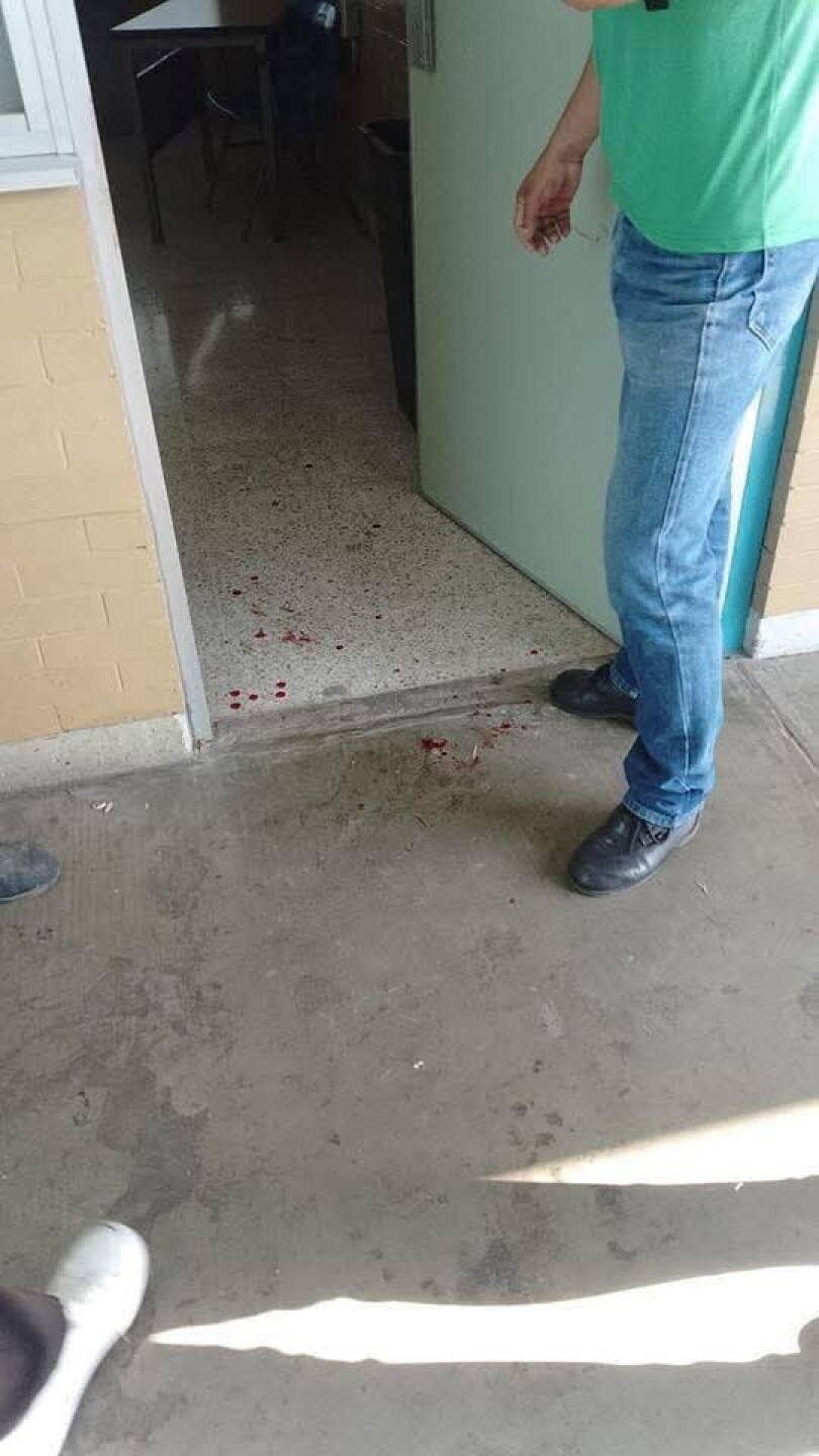 CCH Naucalpan.jpg