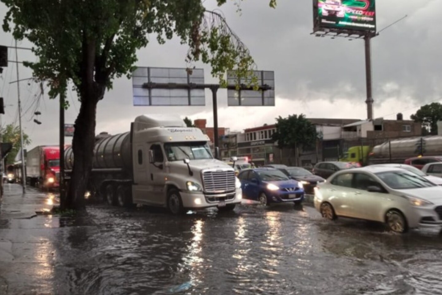 hoy no circula 15 agosto