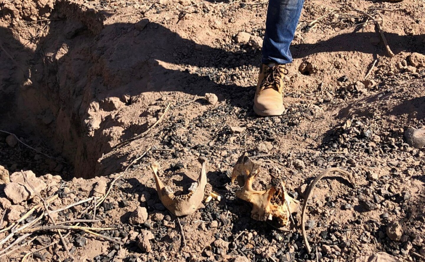 fosas clandestinas en Michoacán -efe