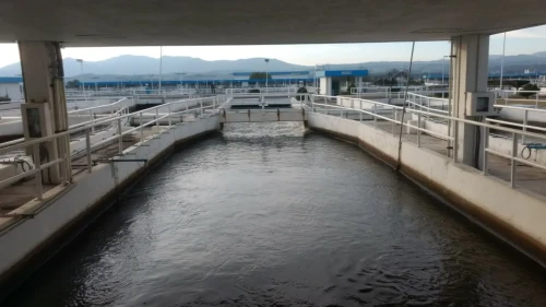 agua-nl