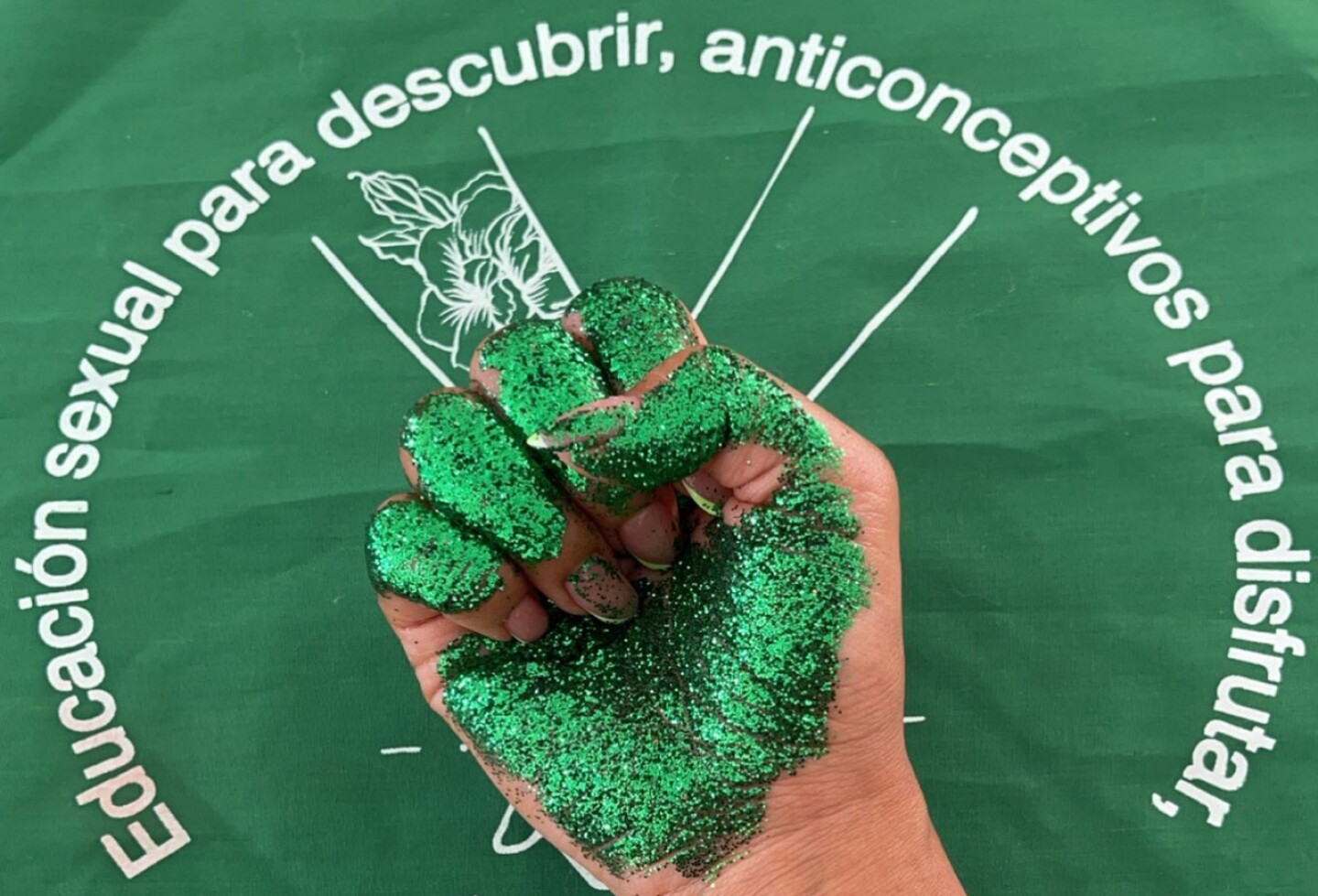 aborto-legal-veracruz
