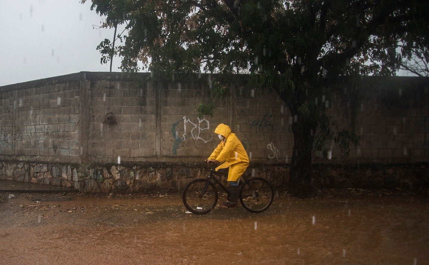 agatha-oaxaca-efe (2)