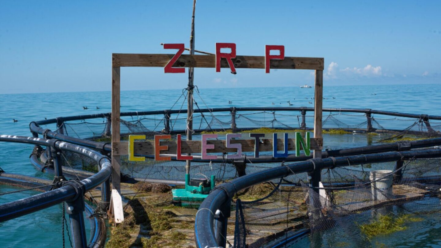 celestun-refugio-pesquero-pesca-furtiva