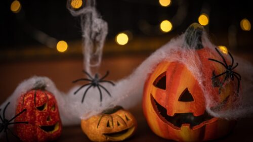 halloween-2022-10-19-05-10-30-utc-1