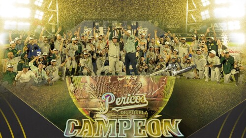 pericos-de-puebla-serie-del-rey