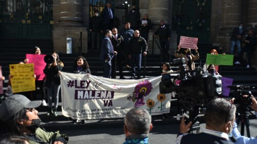 ley malena