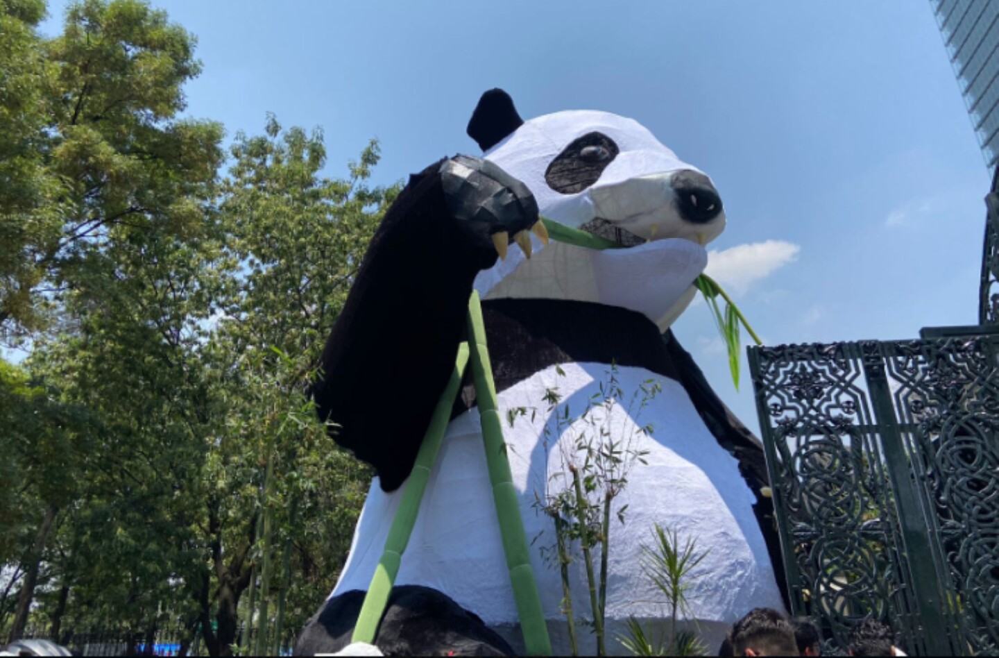 animalistica-chapultepec