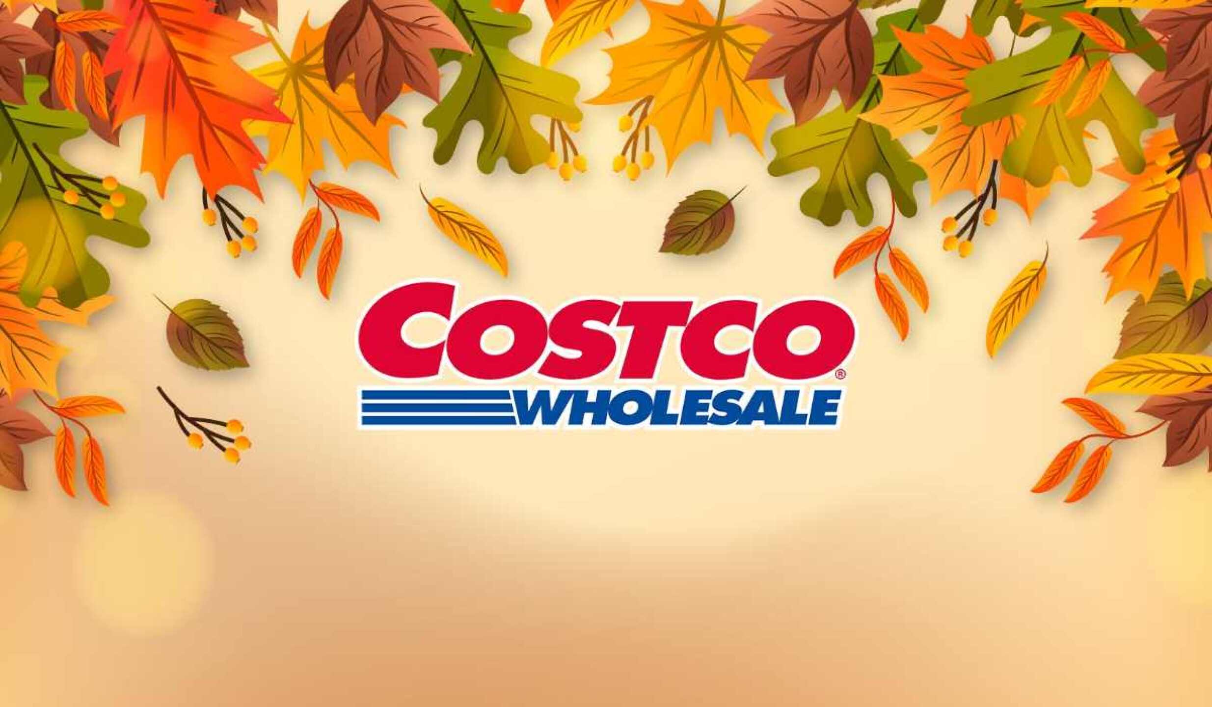 costco-tienda-comercio.jpg