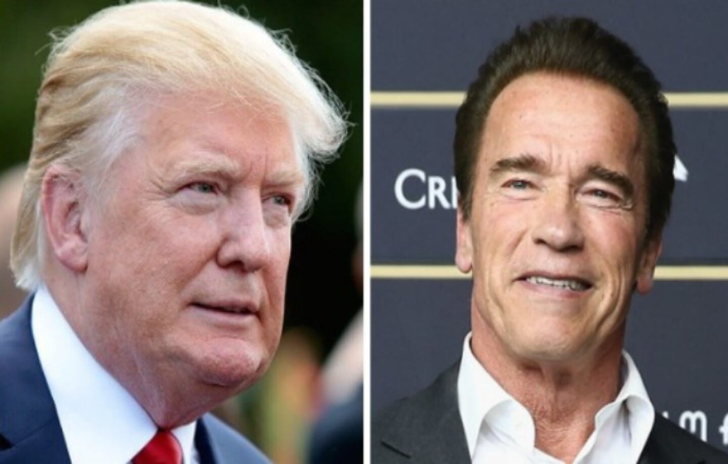 collage trump y arnold