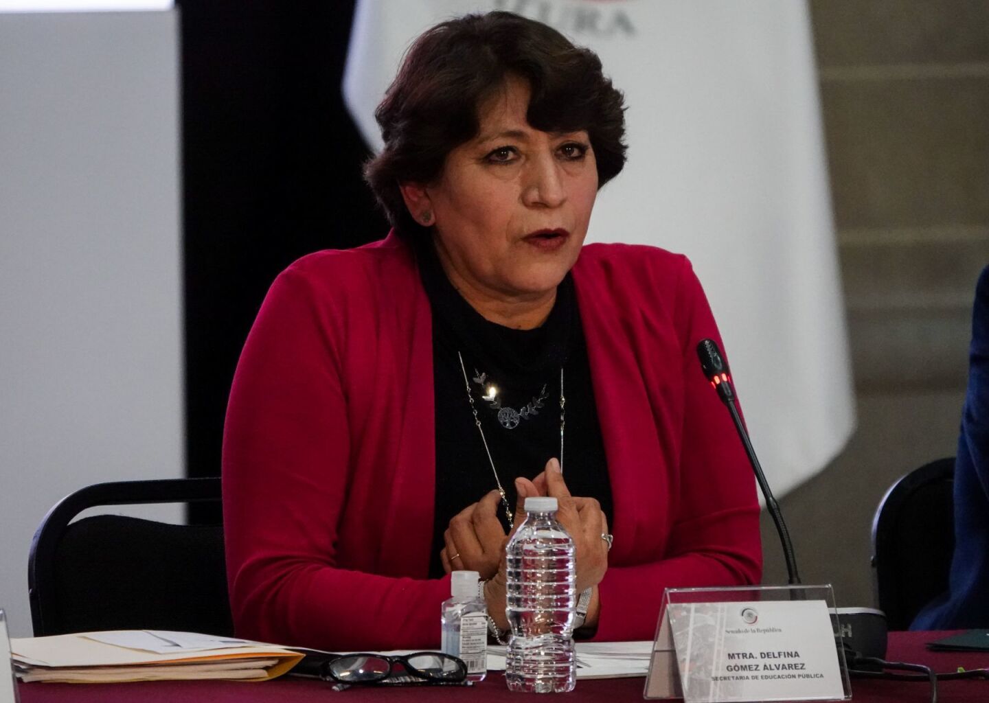 Delfina Gómez durante su participación en la VIII Reunión Plenaria de Morena