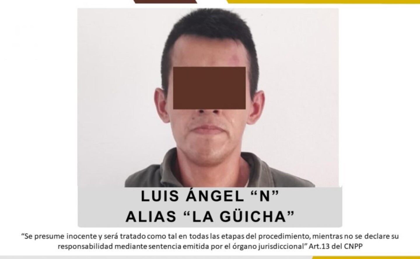 periodista María Elena Ferral-fiscalia