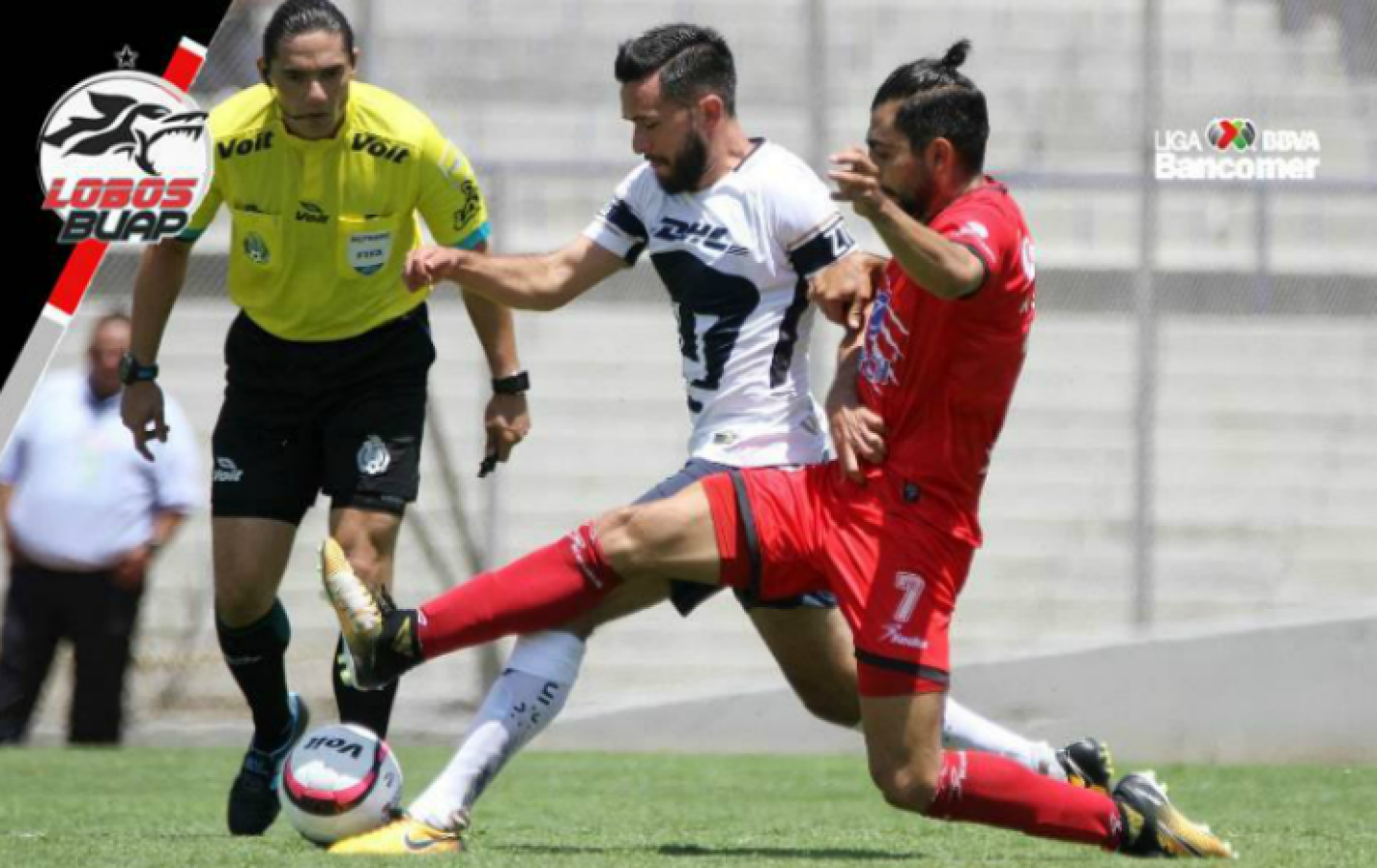 Lobos BUAP