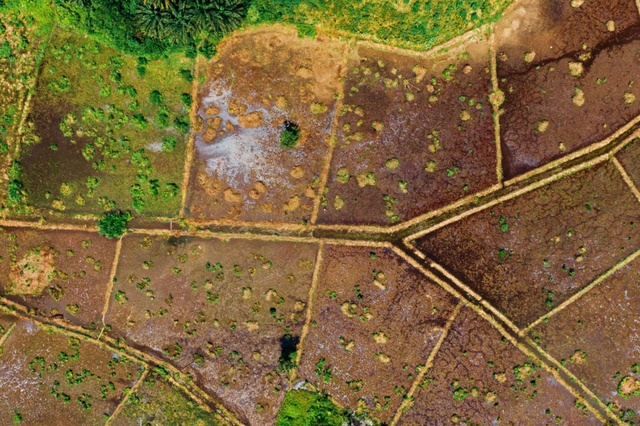 Las Tierras Rar Ras ¿Qué son las tierras raras y por qué son clave para la tecnología, la ...
