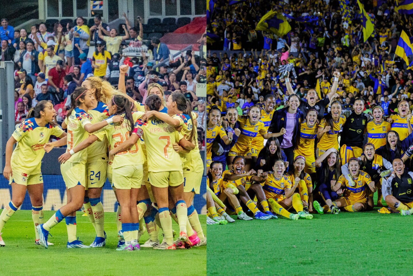 america-tigres-femenil-en-vivo