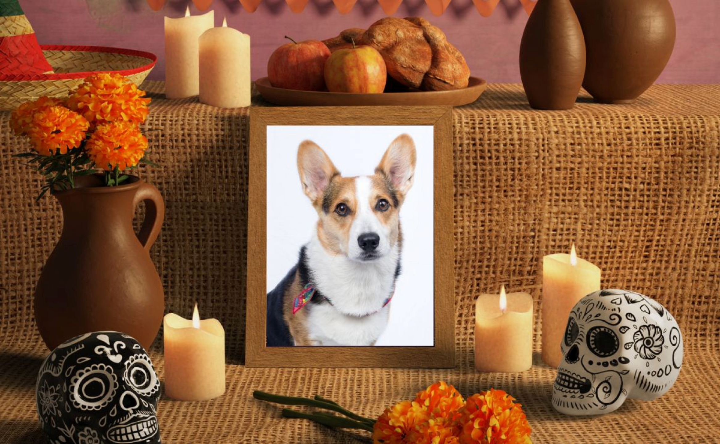 ofrenda 1.png
