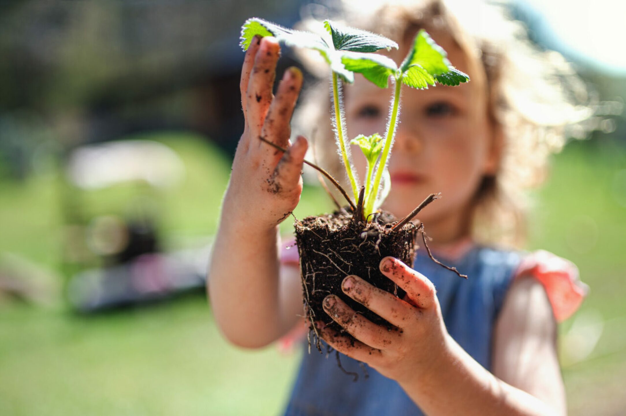 small-girl-with-dirty-hands-outdoors-in-garden-su-2022-02-02-03-56-54-utc-1280x850
