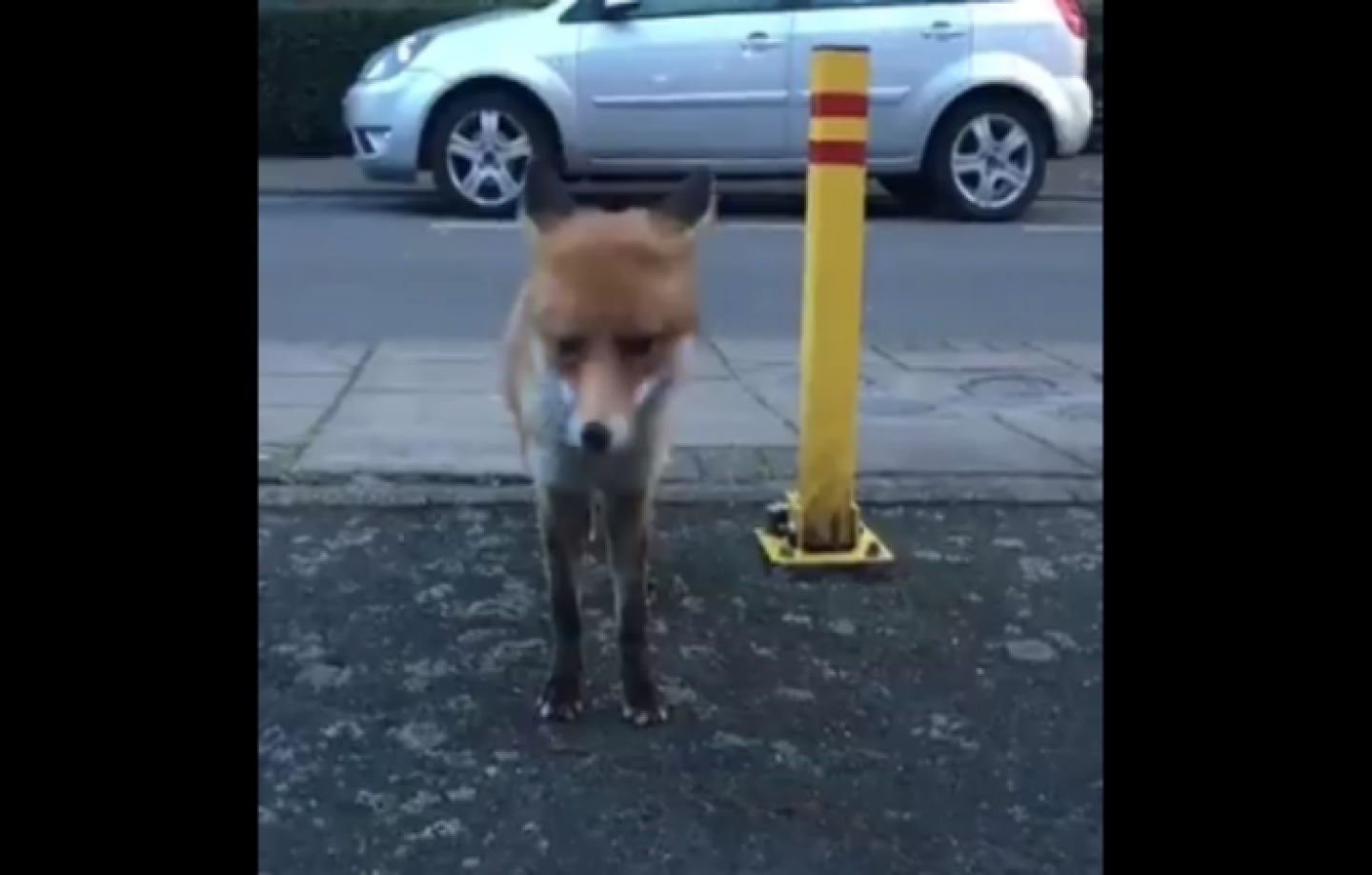 Captura de pantalla 2018-03-30 a las 2