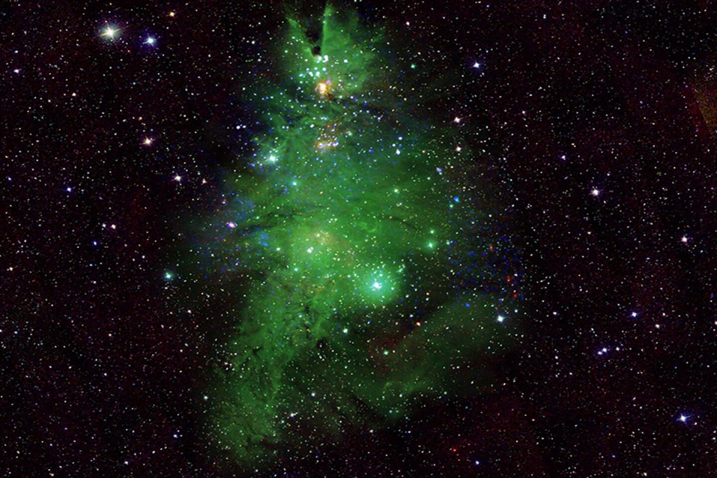 Nasa árbol de navidad