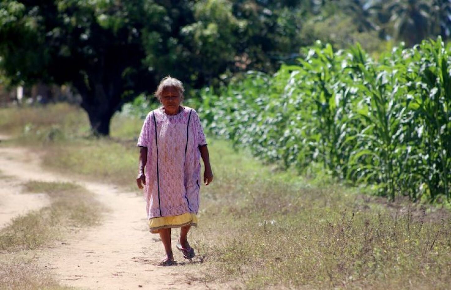 Campesinos de Copala, denunciaron intento de desalojo haciendo responsables a las autoridades del estado