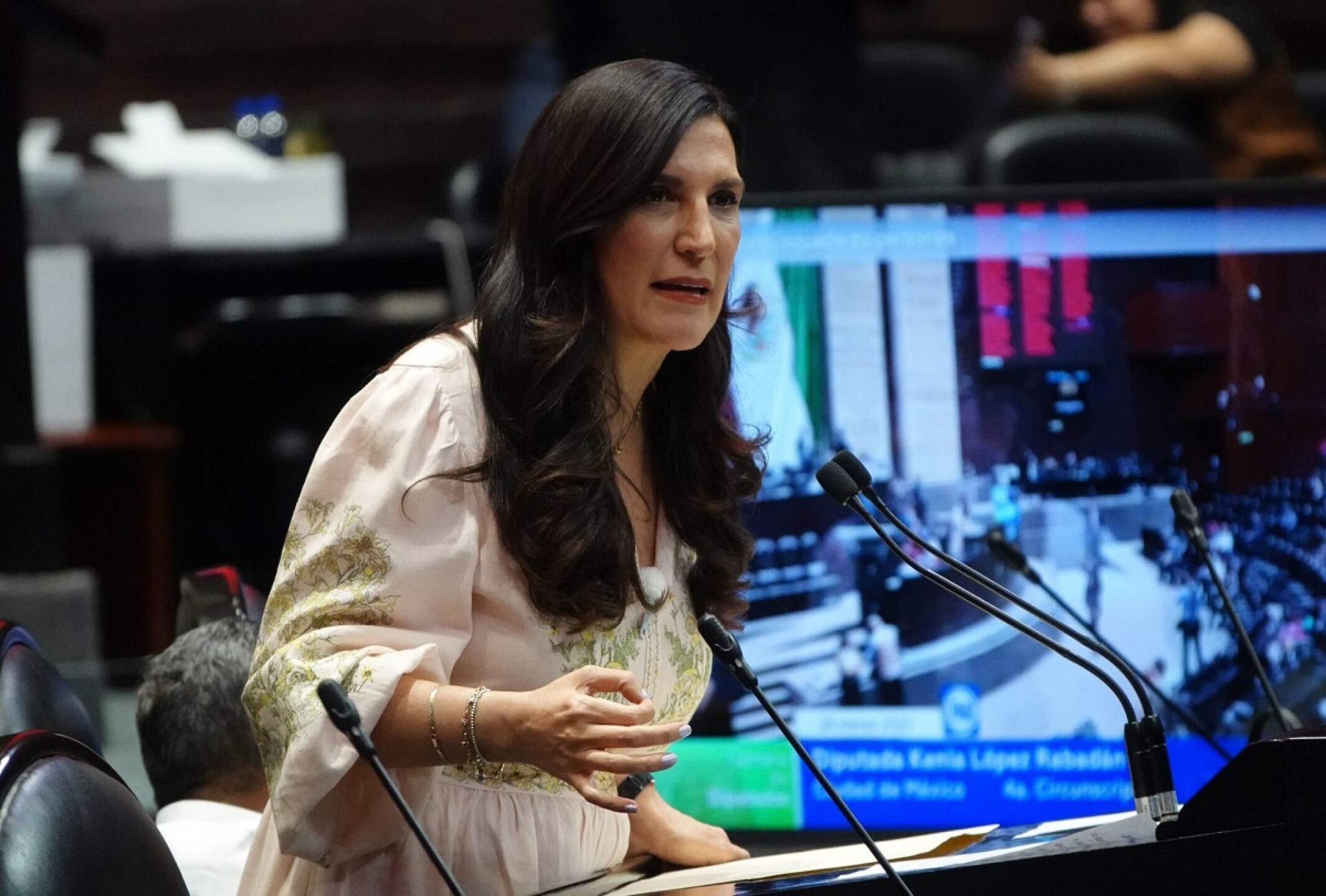 Sesión Ordinaria Diputados kenia lópez